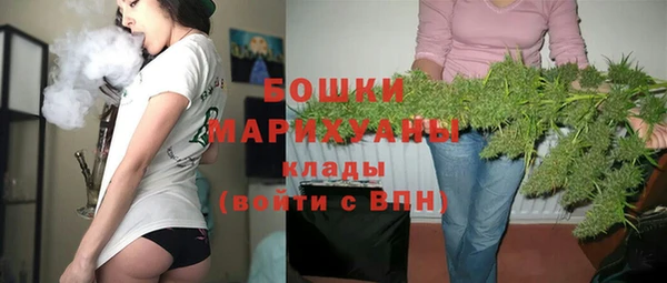 ешки Ельня