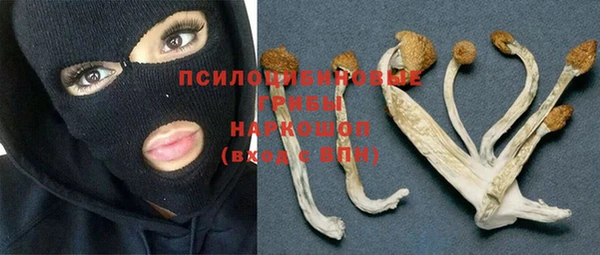 PSILOCYBIN Баксан