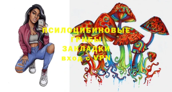 PSILOCYBIN Баксан